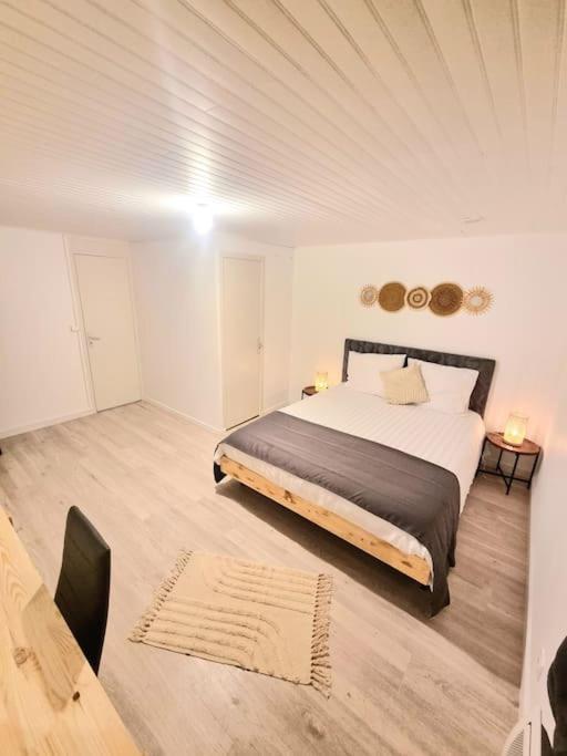 Appartement Neuf Rive-de-Gier Екстер'єр фото